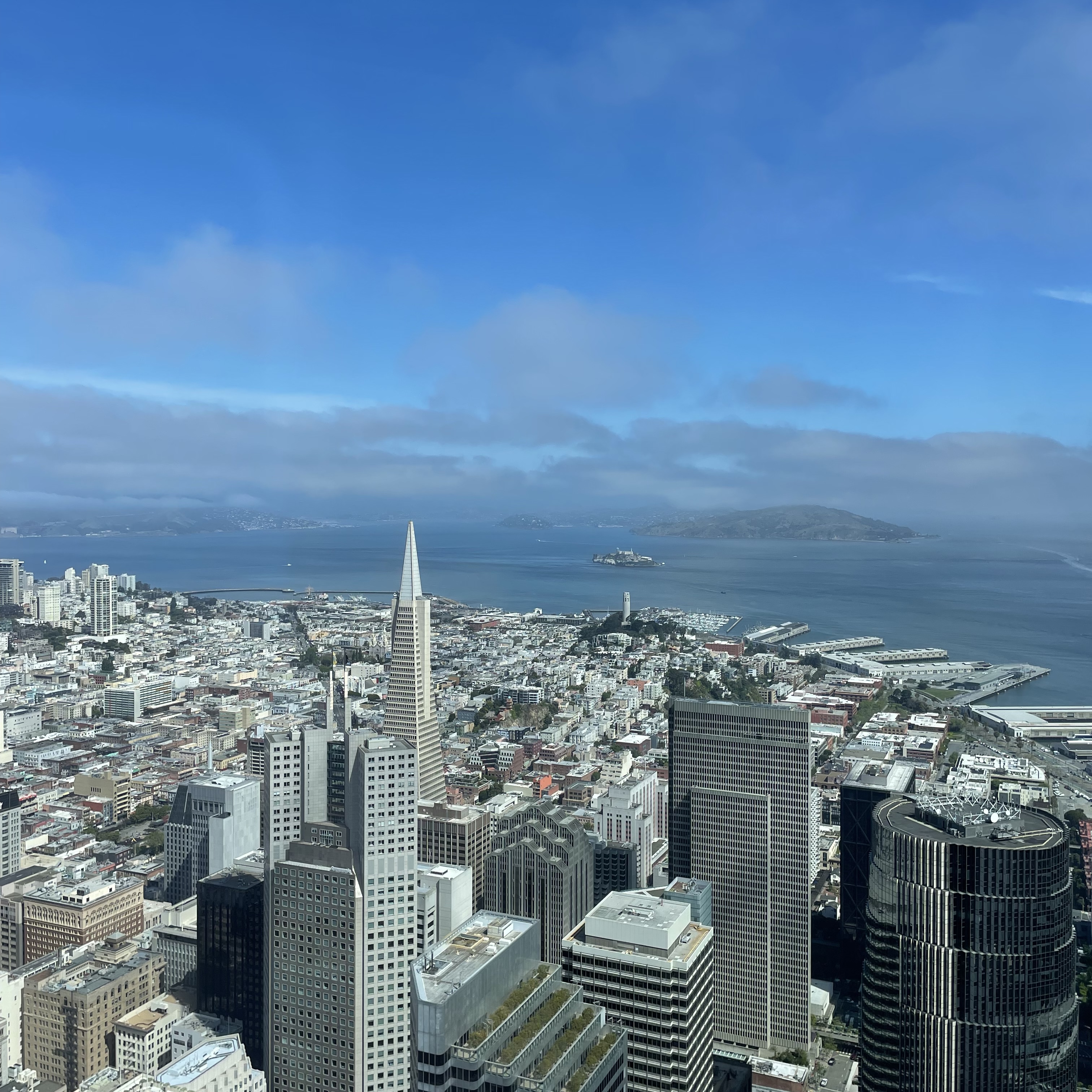 sf-view